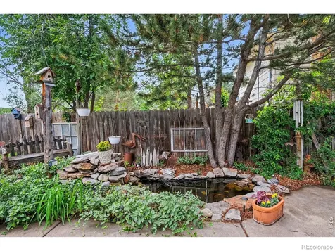 717 Shipman Mountain Court Windsor CO 80550