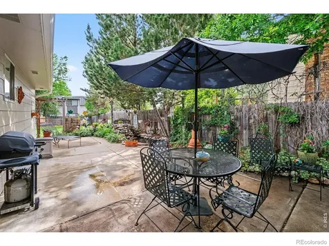 717 Shipman Mountain Court Windsor CO 80550