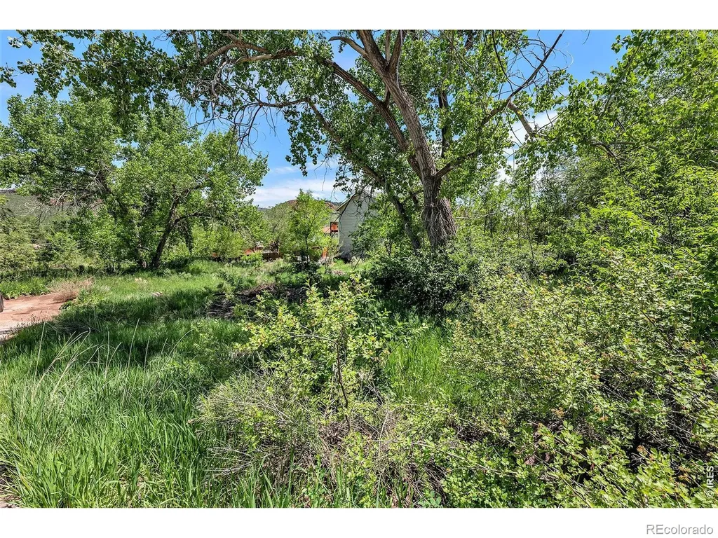 4804 Foothills Drive Fort Collins CO 80526