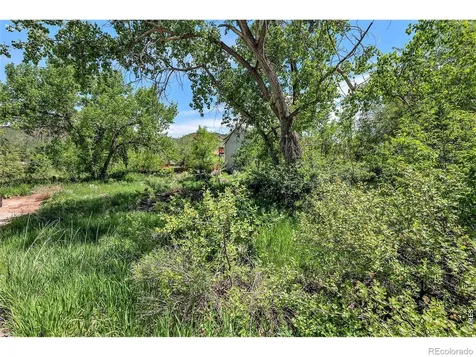 4804 Foothills Drive Fort Collins CO 80526