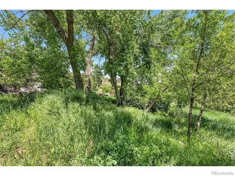 4804 Foothills Drive Fort Collins CO 80526
