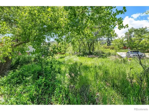 4804 Foothills Drive Fort Collins CO 80526