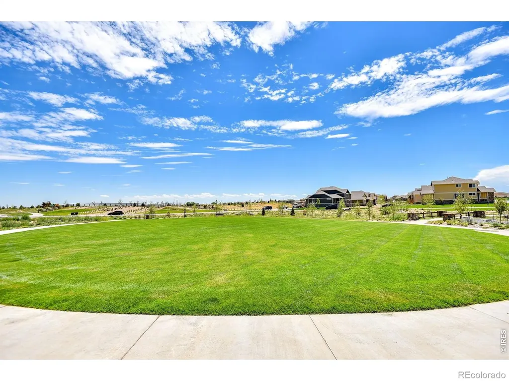 817 Shade Tree Drive Windsor CO 80550