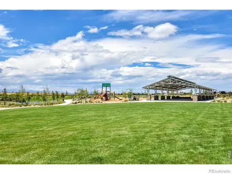 817 Shade Tree Drive Windsor CO 80550