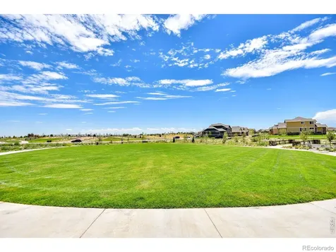 817 Shade Tree Drive Windsor CO 80550