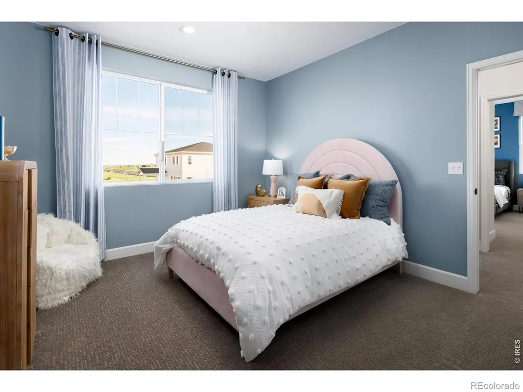 647 Noola Street Windsor CO 80550
