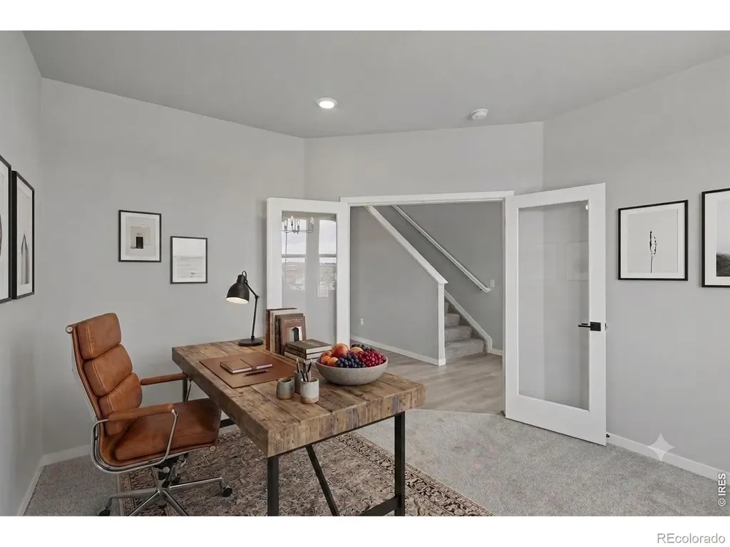 647 Noola Street Windsor CO 80550