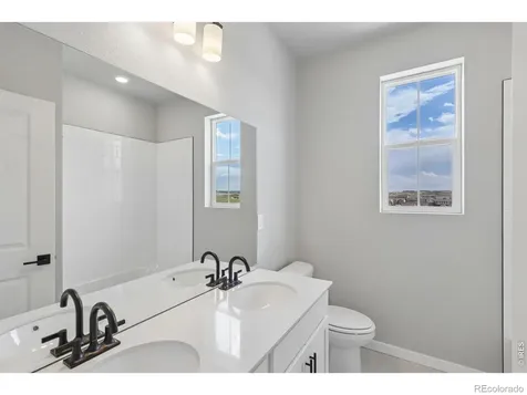 647 Noola Street Windsor CO 80550