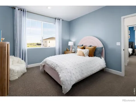 647 Noola Street Windsor CO 80550