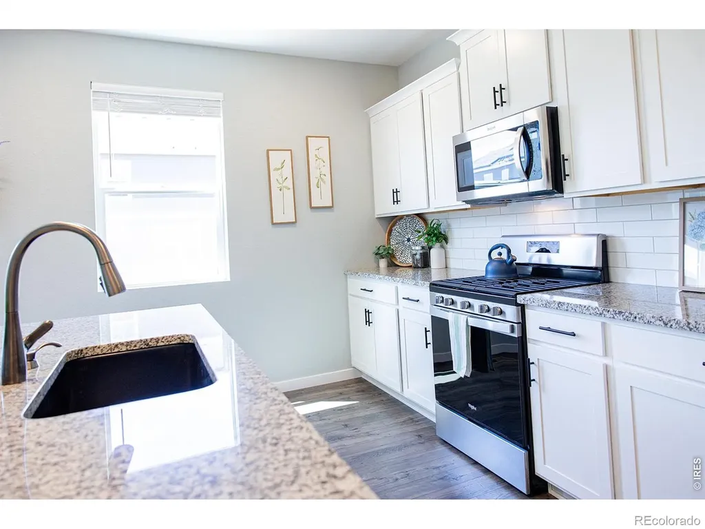 3691 Speedwell Street Wellington CO 80549