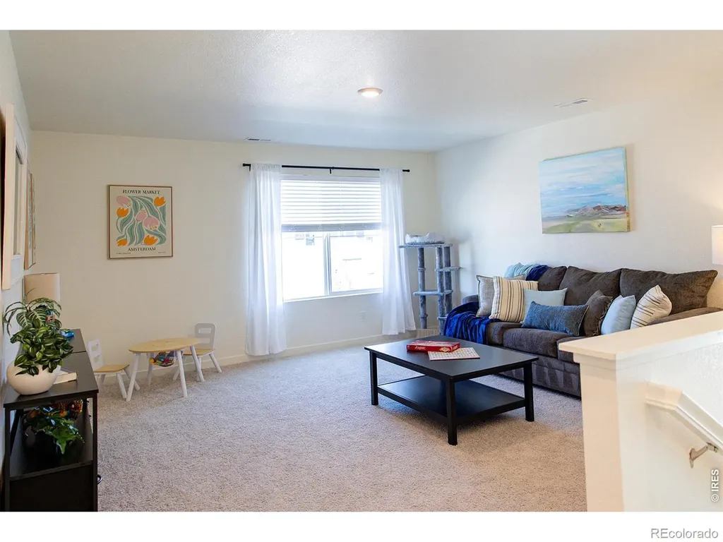3691 Speedwell Street Wellington CO 80549