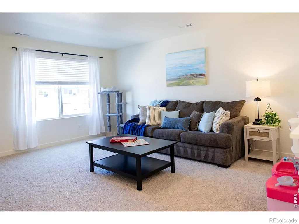 3691 Speedwell Street Wellington CO 80549