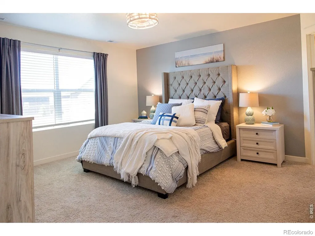 3691 Speedwell Street Wellington CO 80549