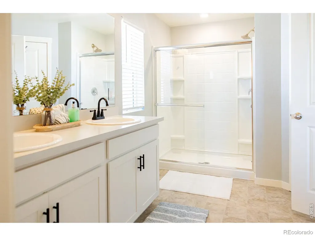 3691 Speedwell Street Wellington CO 80549