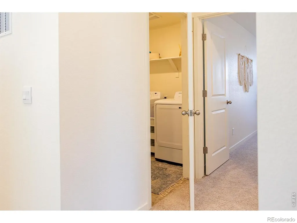 3691 Speedwell Street Wellington CO 80549