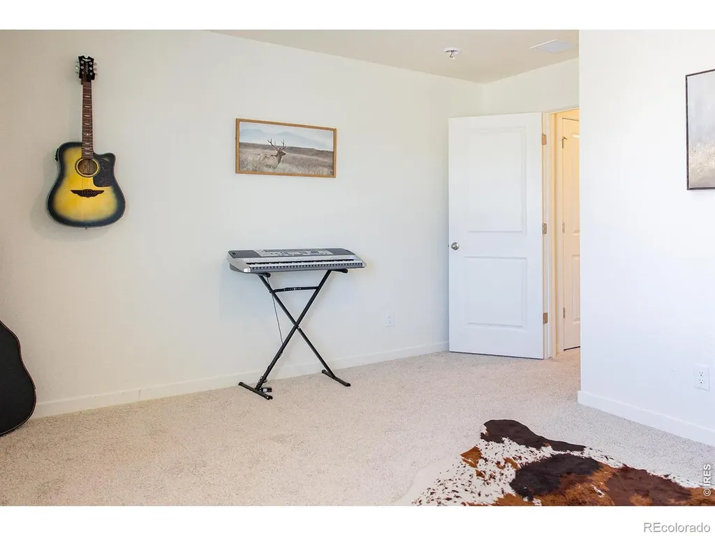 3691 Speedwell Street Wellington CO 80549