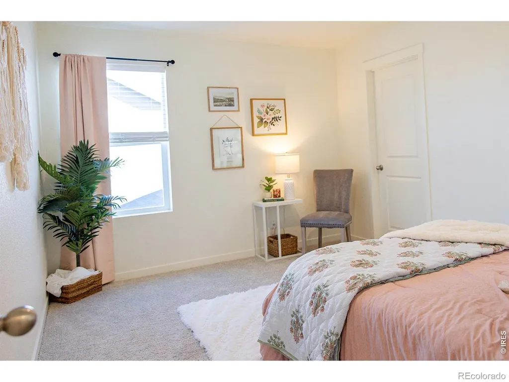3691 Speedwell Street Wellington CO 80549