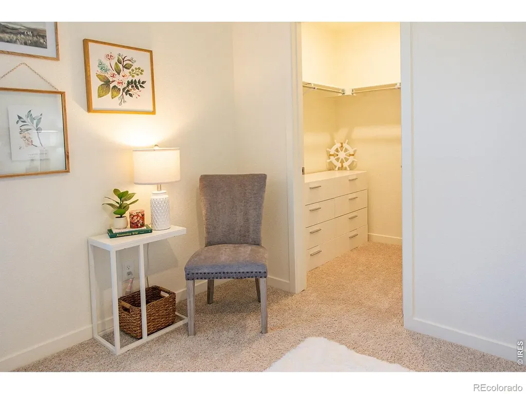 3691 Speedwell Street Wellington CO 80549