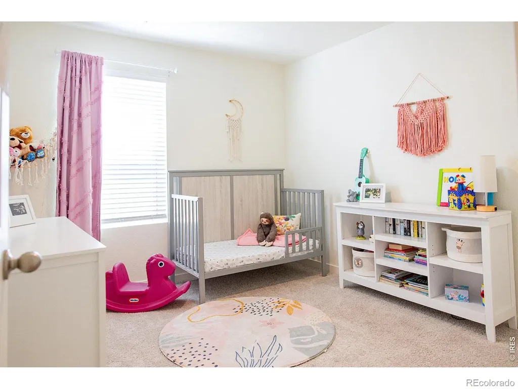 3691 Speedwell Street Wellington CO 80549
