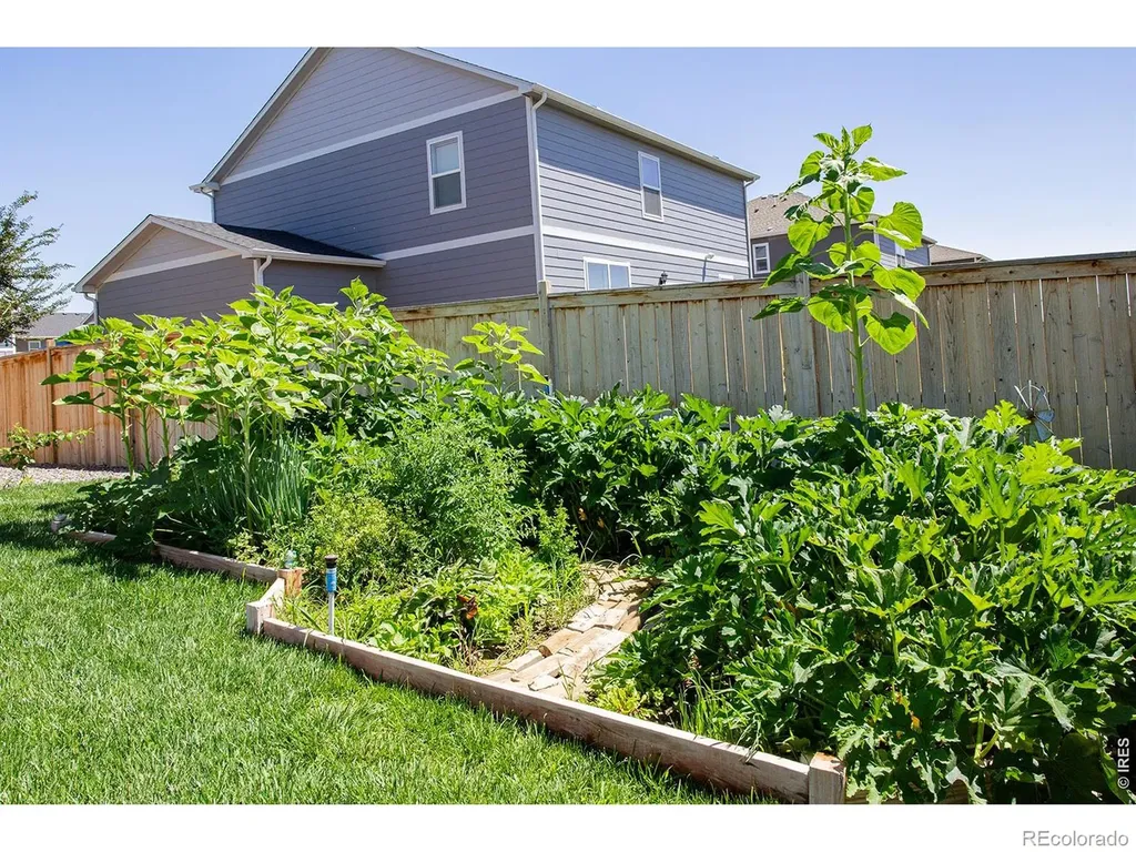 3691 Speedwell Street Wellington CO 80549