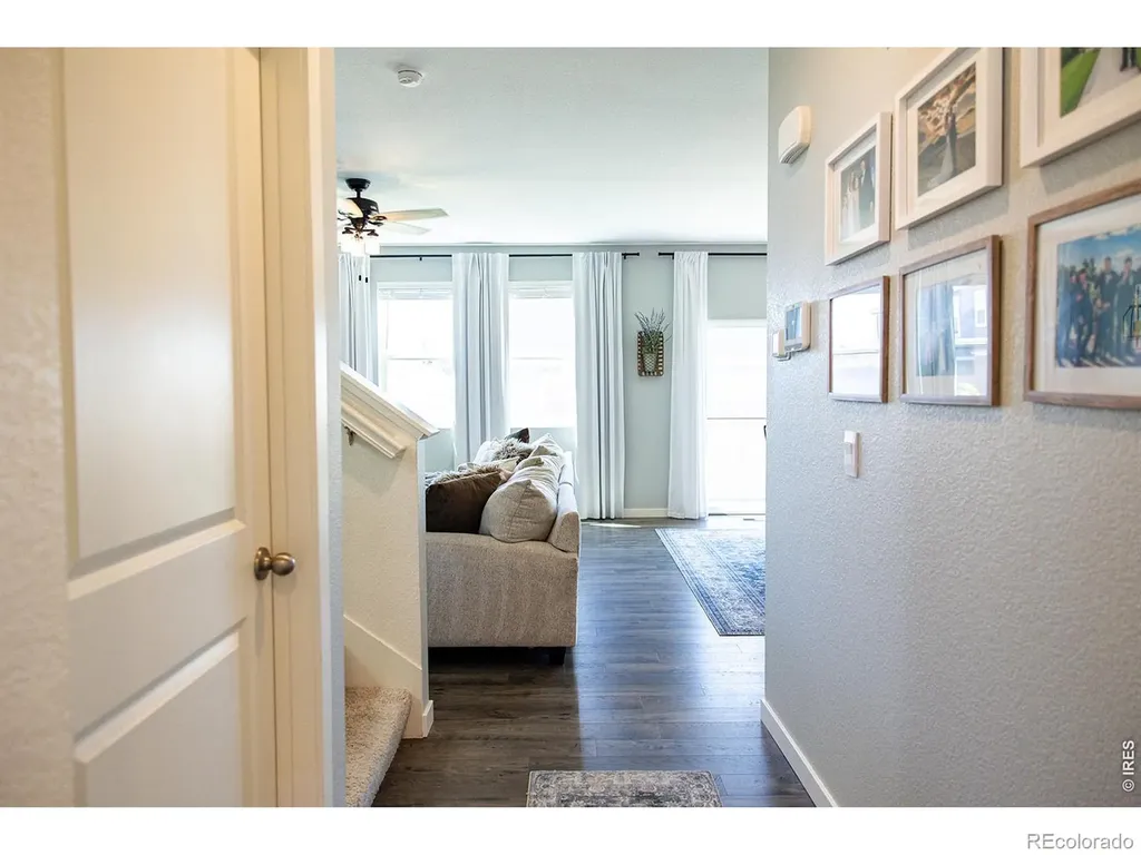 3691 Speedwell Street Wellington CO 80549