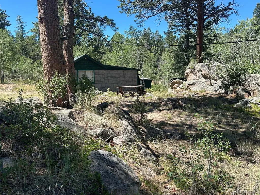 745 Nokomis Road Red Feather Lakes CO 80545