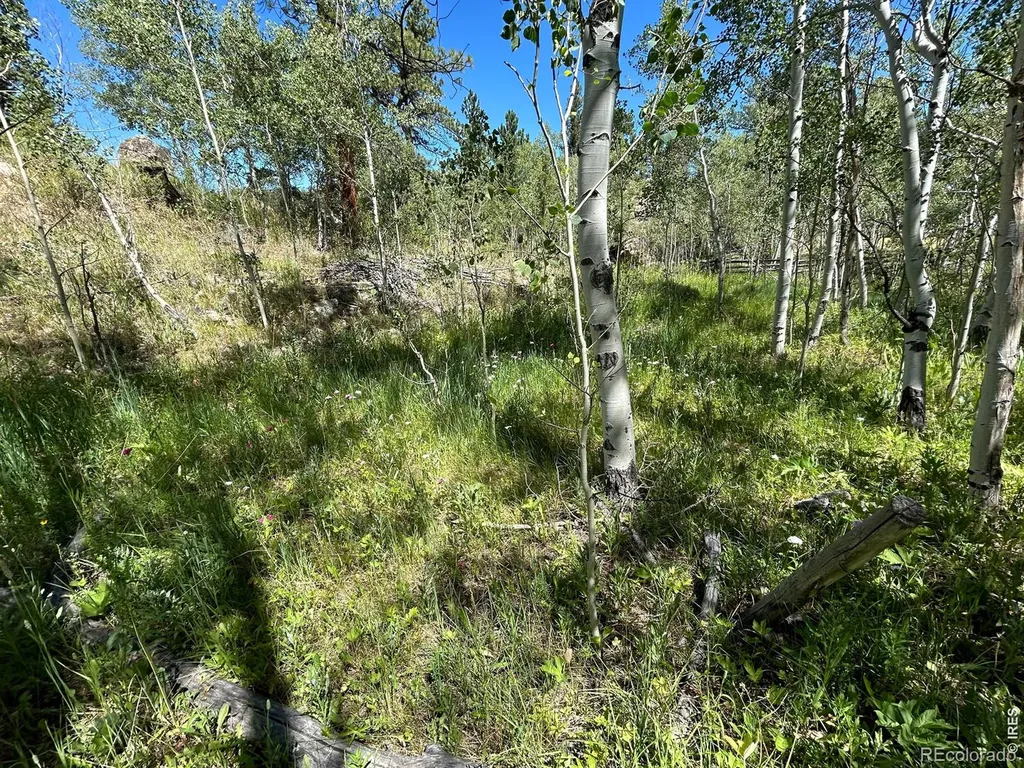 745 Nokomis Road Red Feather Lakes CO 80545