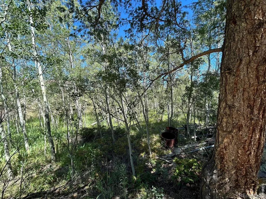 745 Nokomis Road Red Feather Lakes CO 80545