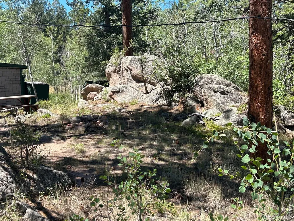 745 Nokomis Road Red Feather Lakes CO 80545
