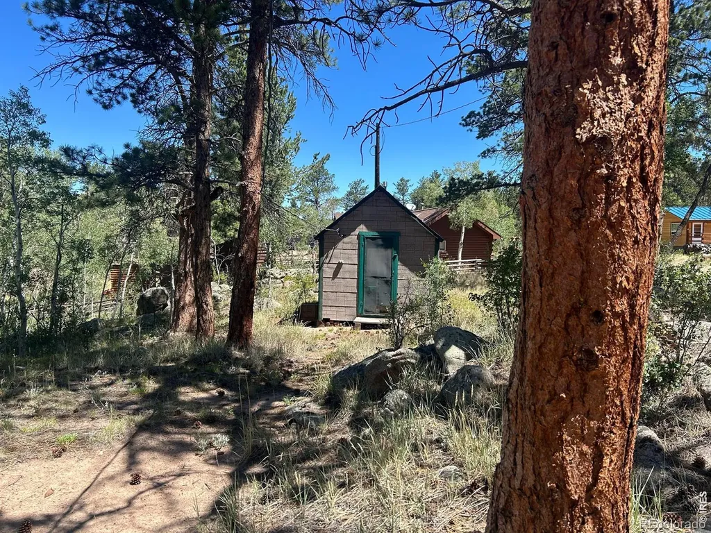 745 Nokomis Road Red Feather Lakes CO 80545