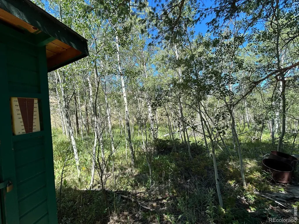 745 Nokomis Road Red Feather Lakes CO 80545