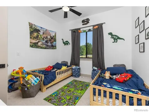 266 Blue Fortune Drive Windsor CO 80550