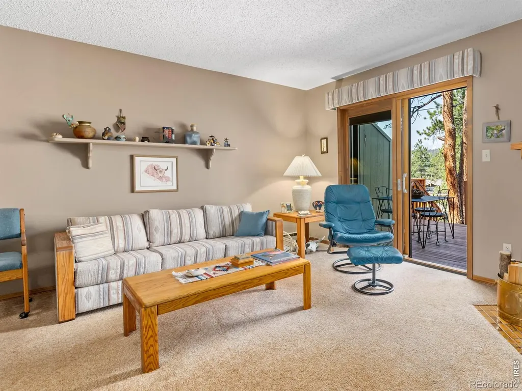 321 Big Horn Drive Estes Park CO 80517