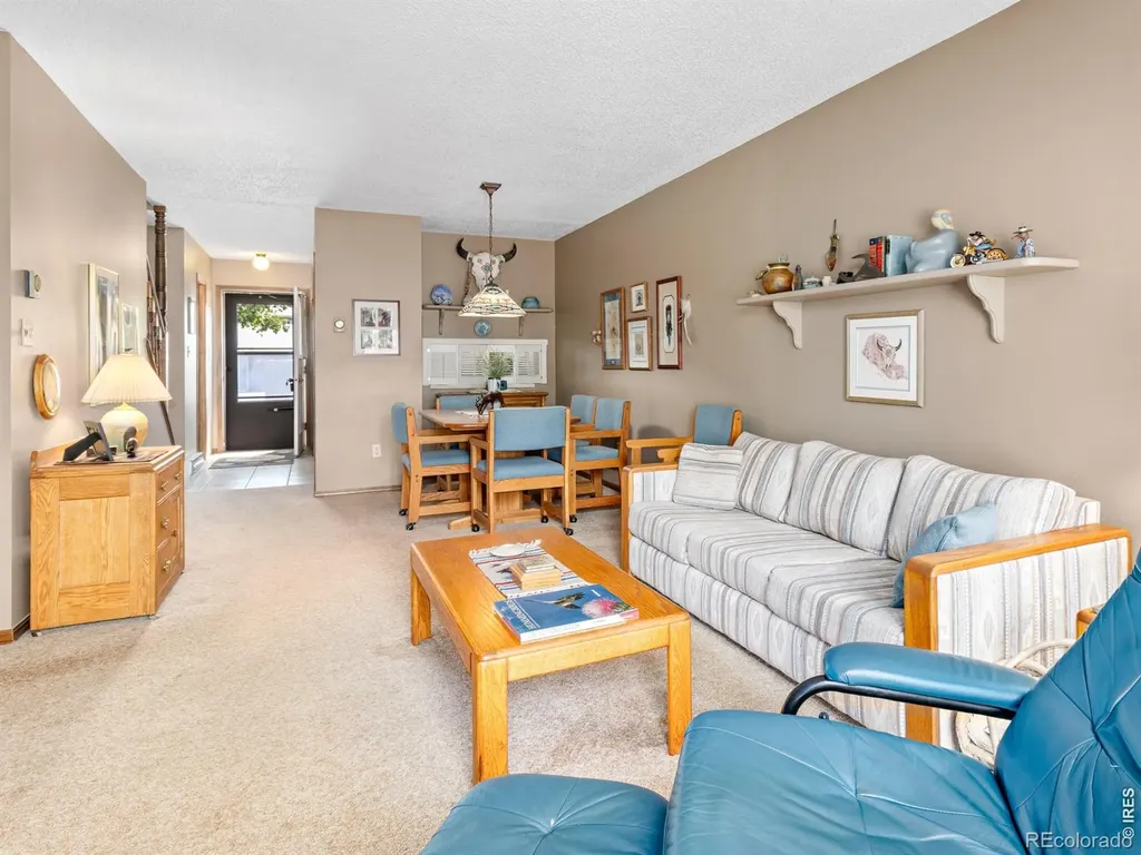 321 Big Horn Drive Estes Park CO 80517