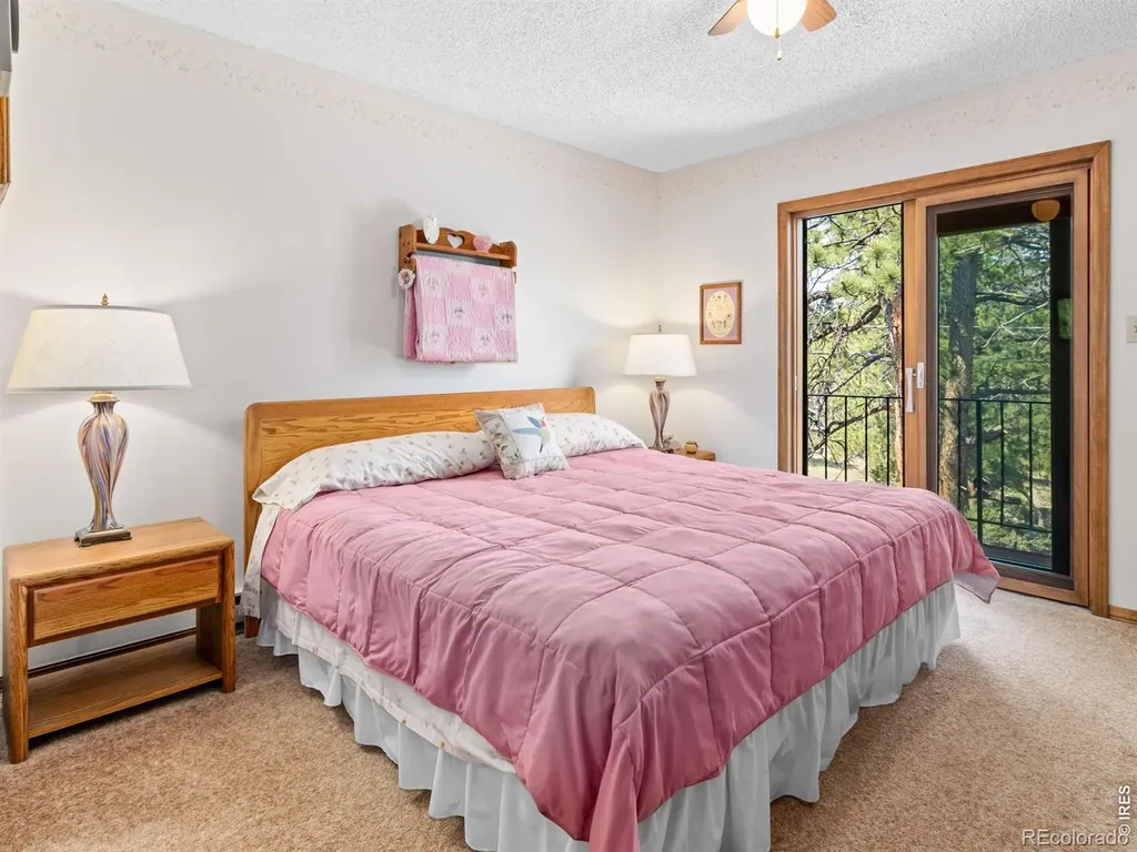 321 Big Horn Drive Estes Park CO 80517