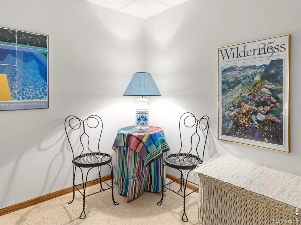 321 Big Horn Drive Estes Park CO 80517