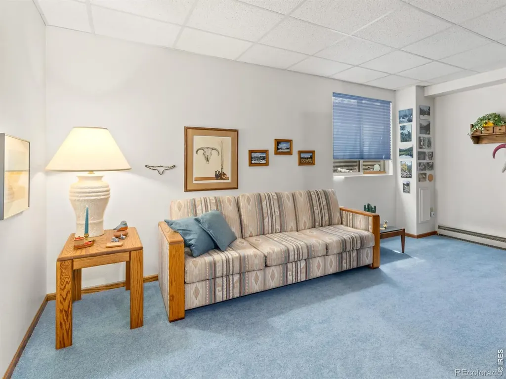 321 Big Horn Drive Estes Park CO 80517