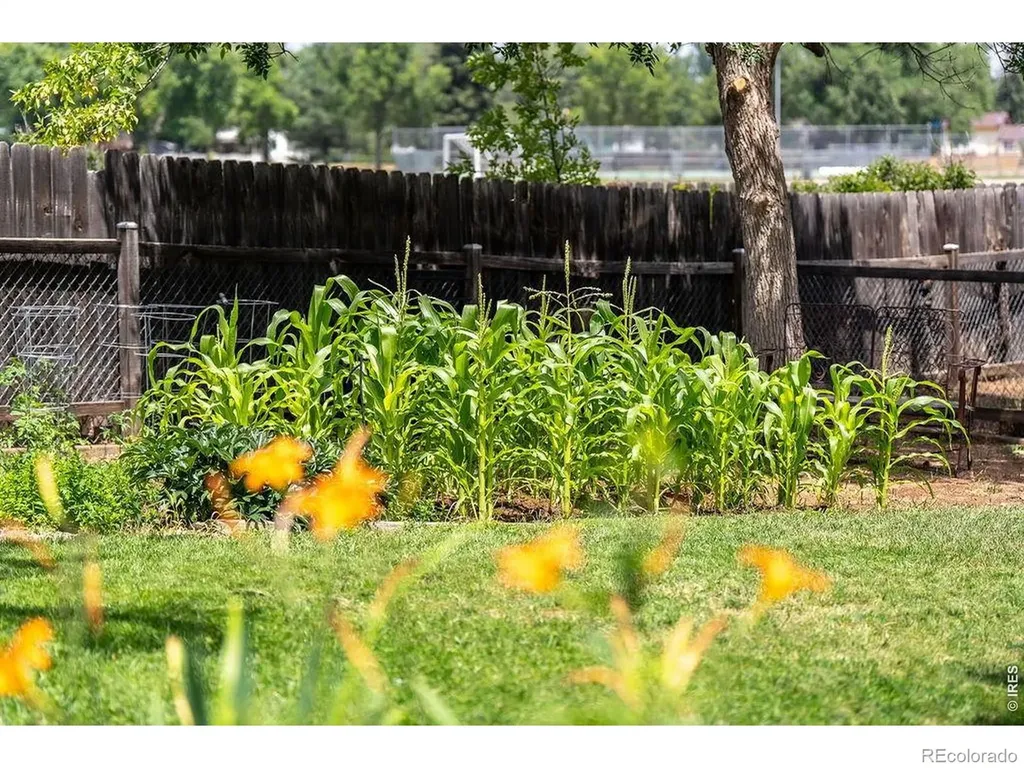 2207 Charolais Drive Fort Collins CO 80526