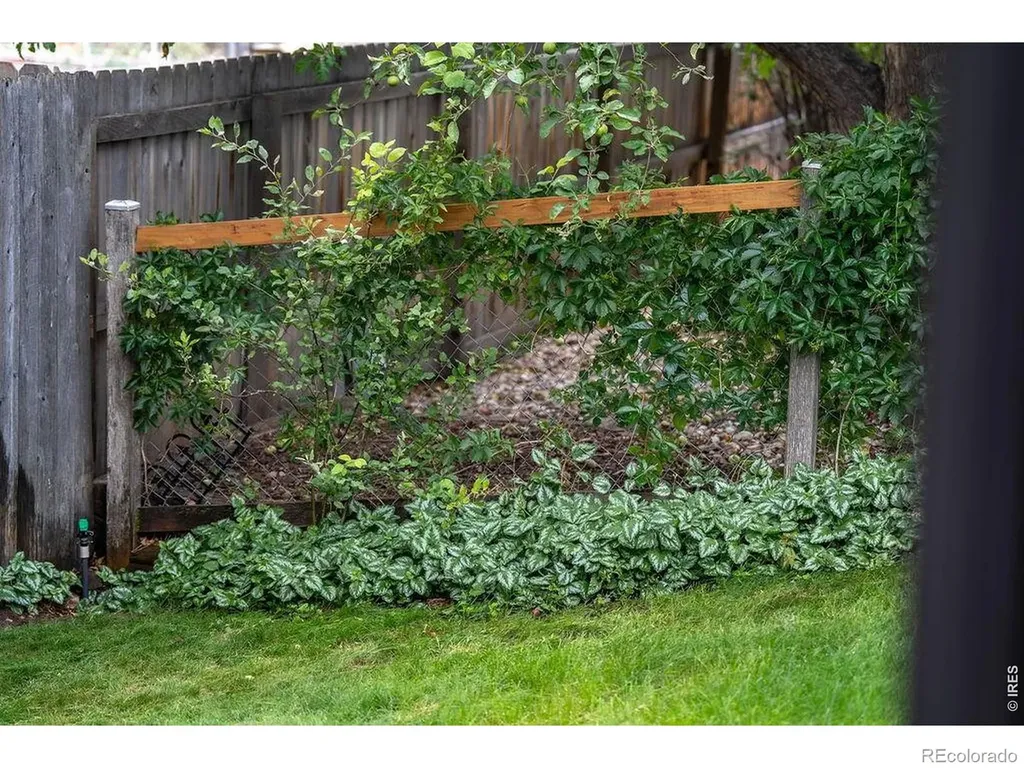 2207 Charolais Drive Fort Collins CO 80526