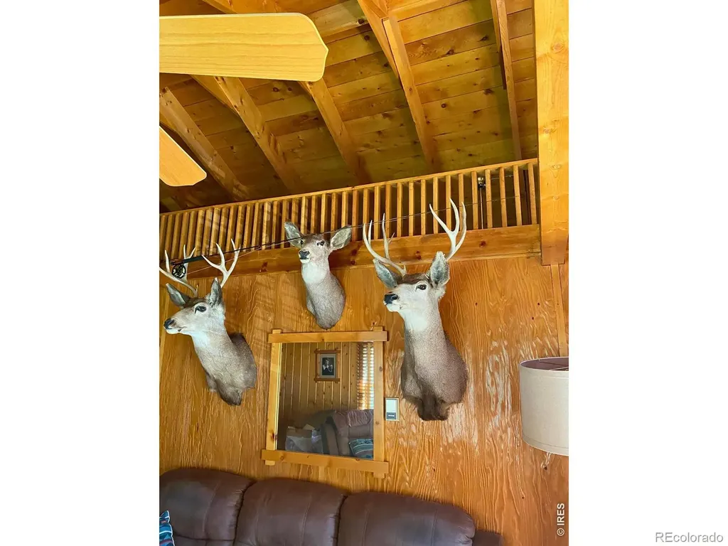 31720 Poudre Canyon Road Bellvue CO 80512