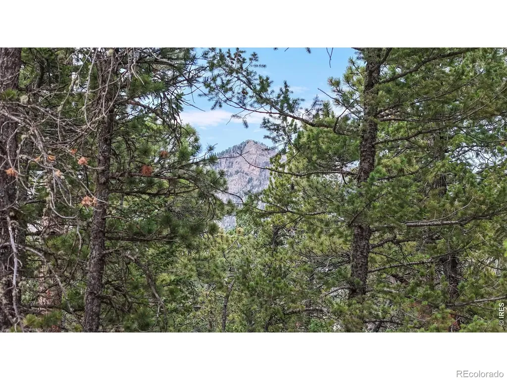 0 Hummingbird Drive Estes Park CO 80517