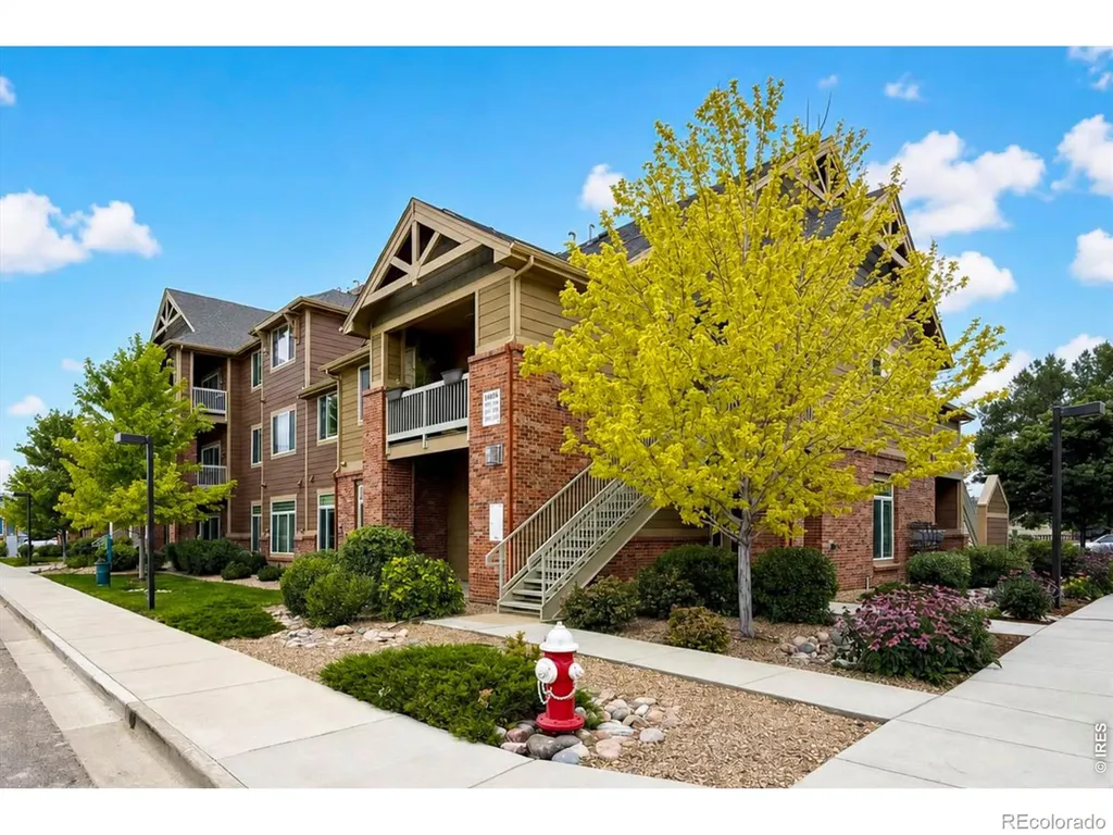 804 Summer Hawk Drive Longmont CO 80504