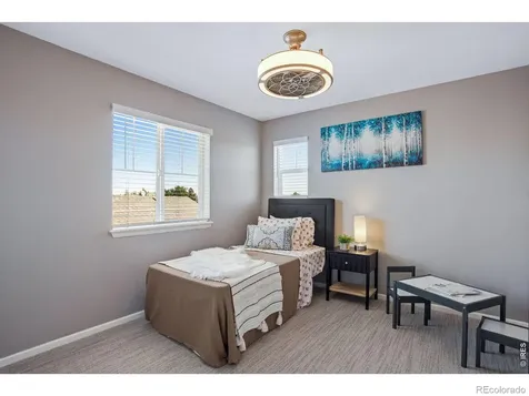4038 Wild Elm Way Fort Collins CO 80528