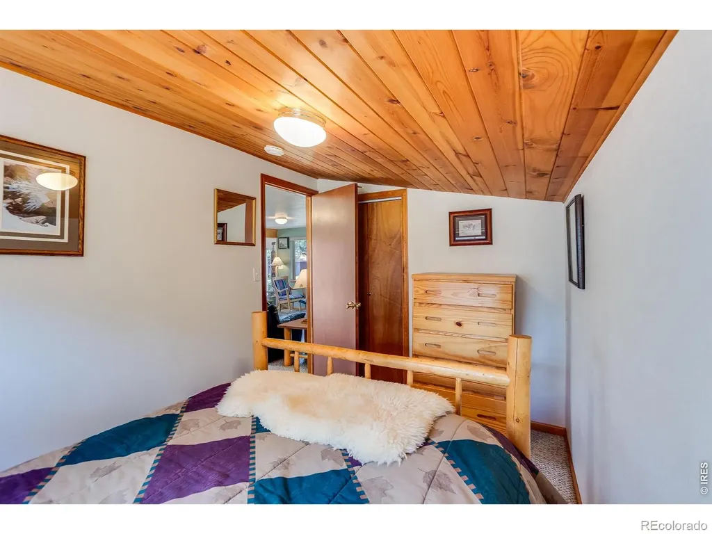 1421 Bluebell Drive Estes Park CO 80517