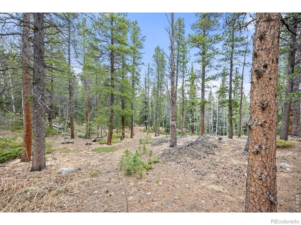 805 Lodge Pole Drive Black Hawk CO 80422