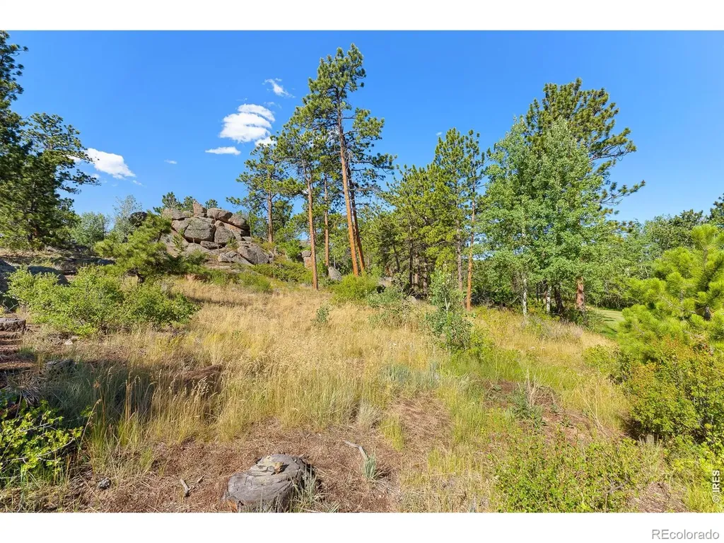 1532 Fox Acres Drive W Red Feather Lakes CO 80545