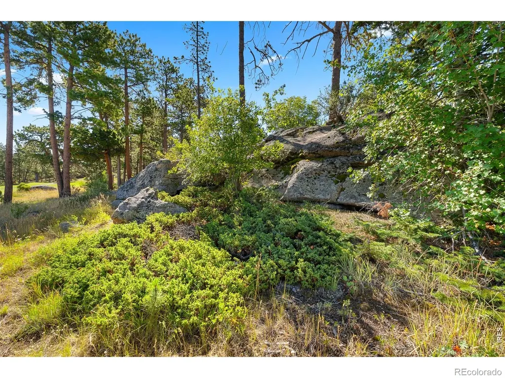 1532 Fox Acres Drive W Red Feather Lakes CO 80545