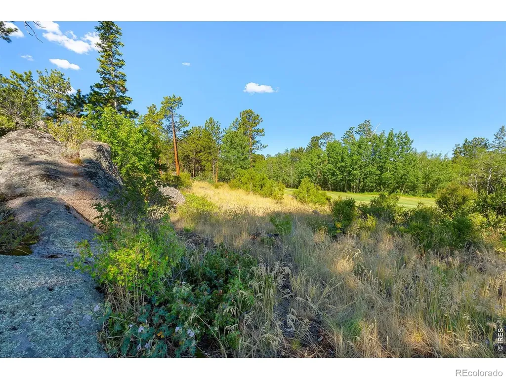 1532 Fox Acres Drive W Red Feather Lakes CO 80545