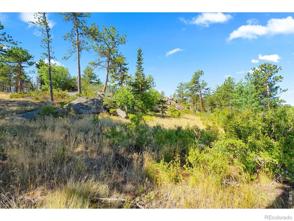 1532 Fox Acres Drive W Red Feather Lakes CO 80545