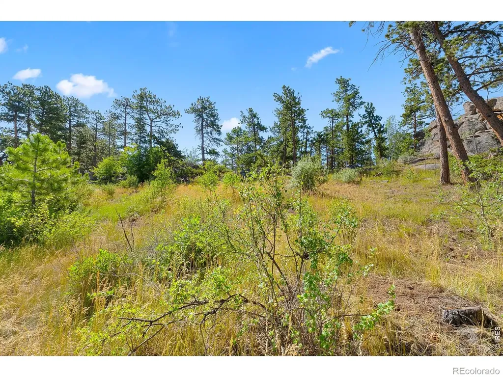 1532 Fox Acres Drive W Red Feather Lakes CO 80545
